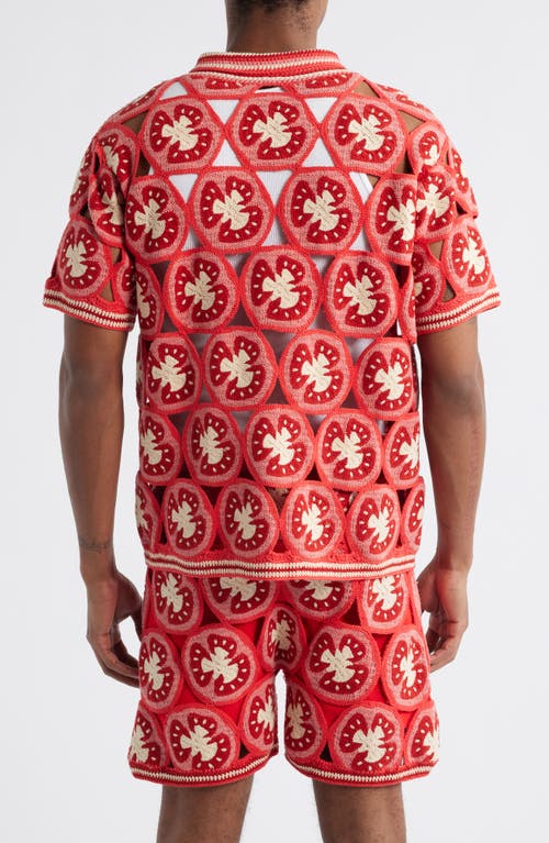 MAVRANS MAVRANS CIAO MEDALLION CROCHET SHORT SLEEVE ORGANIC COTTON SNAP-UP SHIRT