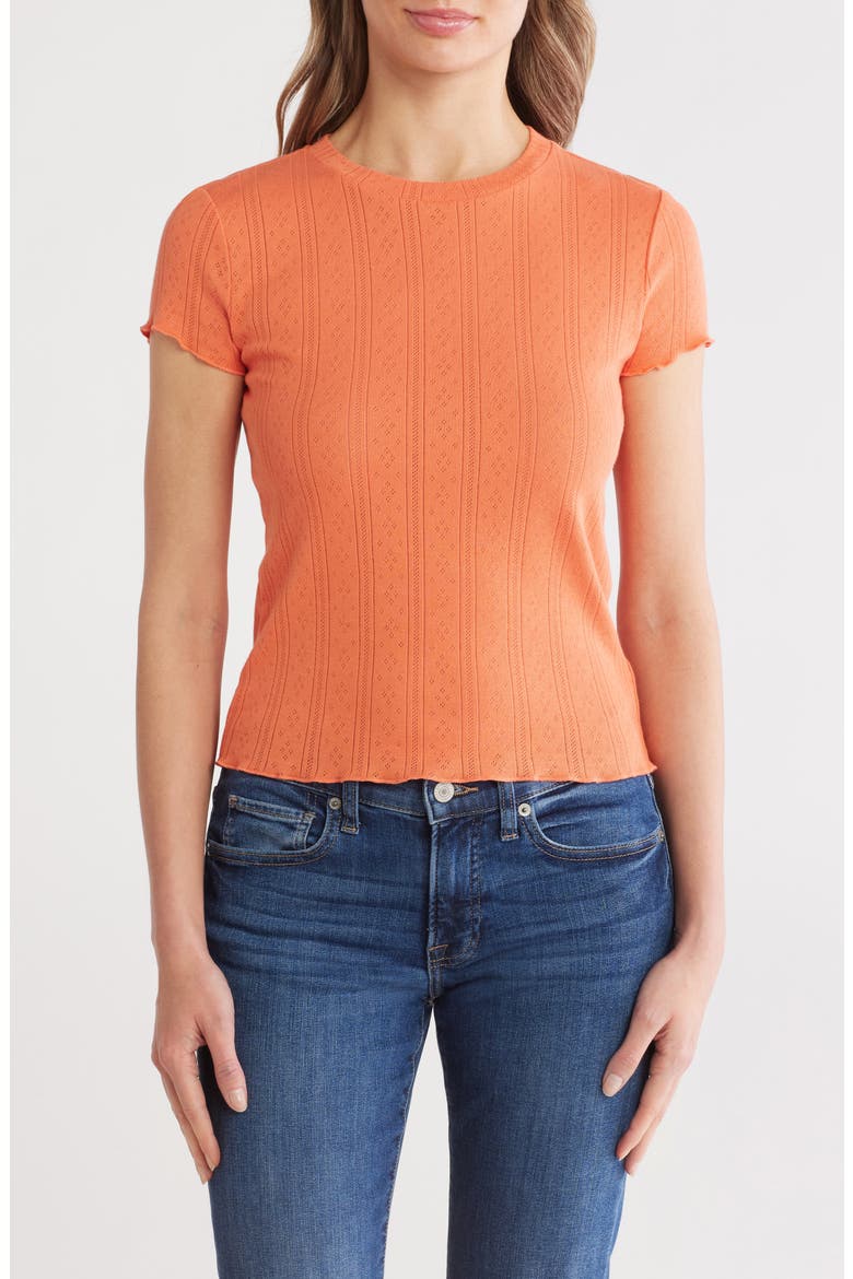 Como Pointelle T-Shirt, Main, color, PERSIMMON