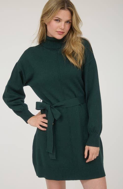 August Sky Long Sleeve Turtleneck Sweater Minidress In Green