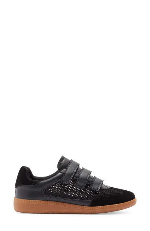 Steve Madden Momentum Sneaker In Black