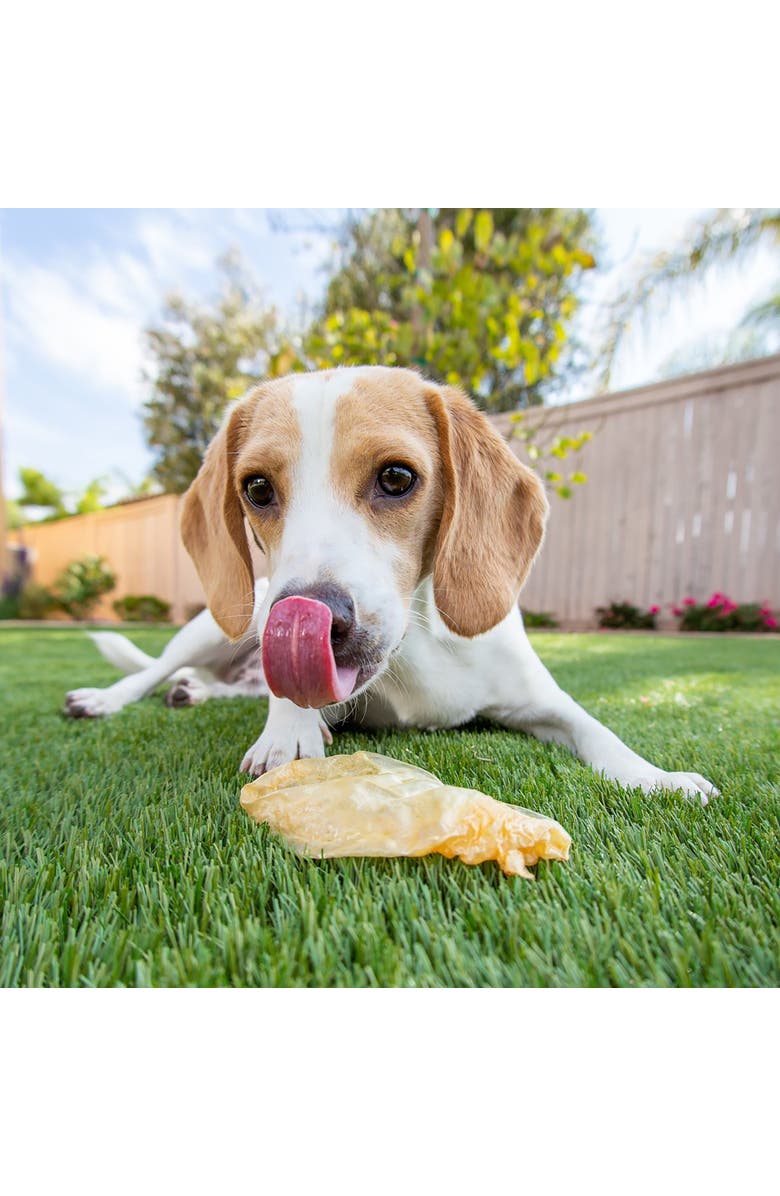 Scout & Zoe's Chicken Breast Jerky, 2oz Dog & Cat Treats, Single Ingredient, Alternate, color, Multicolored