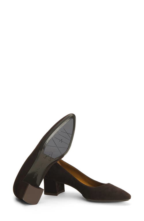 Aquatalia Pasha Pointed Toe Pump In Espresso Suede