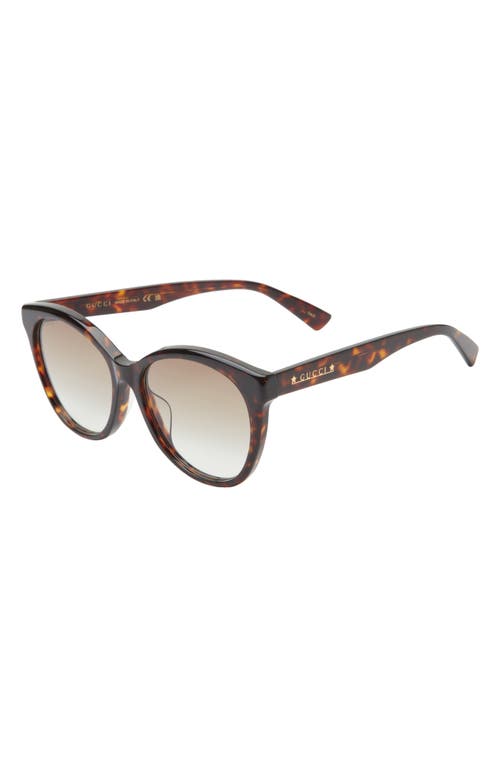 GUCCI GUCCI 57MM CAT EYE SUNGLASSES