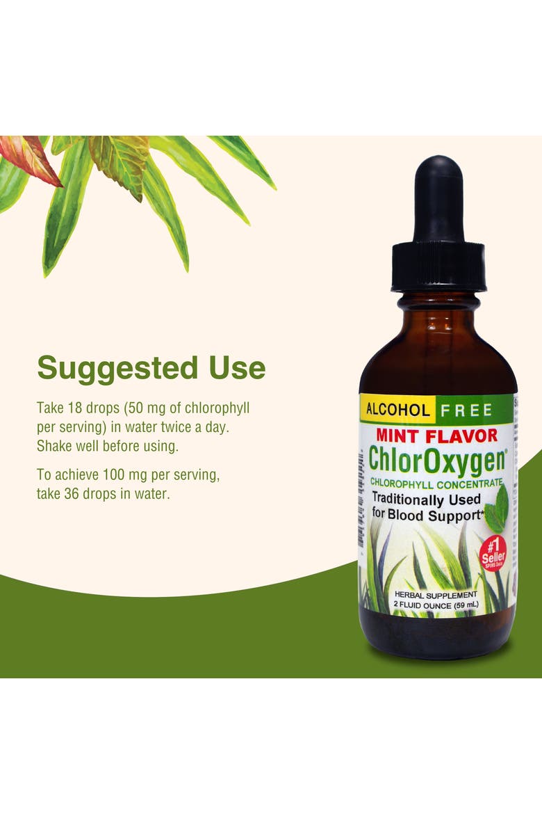 ChlorOxygen Chlorophyll Concentrate Liquid, Energy & Blood Support, 2 fl oz, Alternate, color, No Color