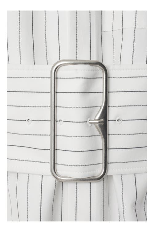 Burberry Belted Pinstriped Cotton-poplin Shirt In String/coal