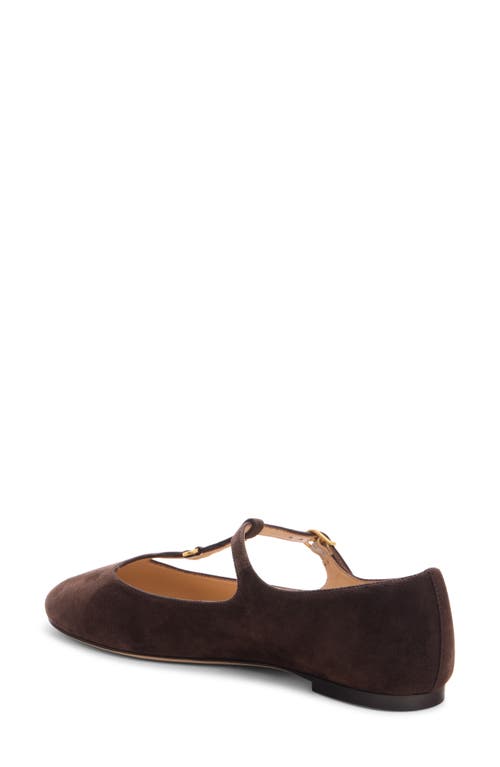 Chloé Marcie Embellished Suede Ballet Flats In Animal Print