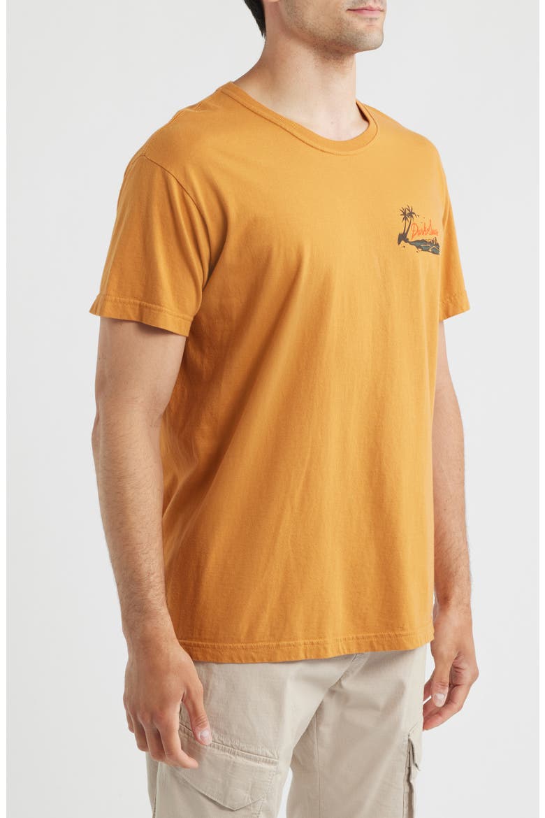 Ransack Cotton Graphic T-Shirt, Alternate, color, HONEY GINGER