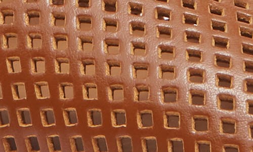 Labucq Lido Laser-cut Mary Jane Flat In Brown
