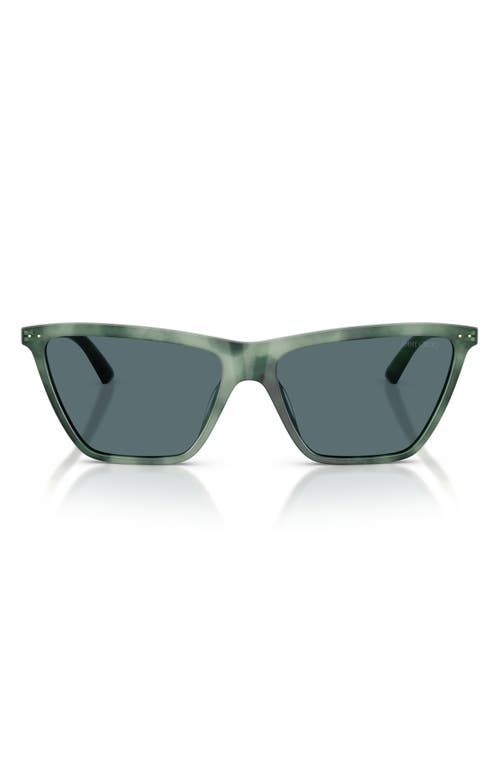 Jimmy Choo 56mm Cat Eye Sunglasses In Green Havana/dark Grey
