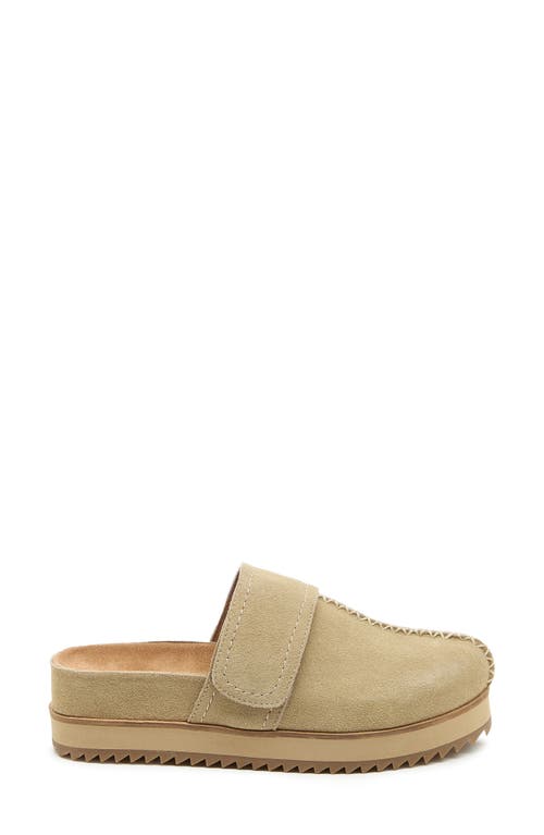 Kelsi Dagger Brooklyn Fig Platform Mule In Brown