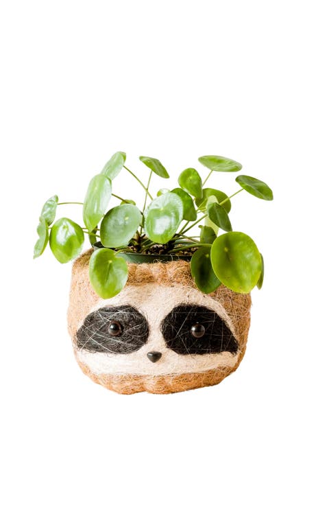 Animal Head Coco Coir Planters