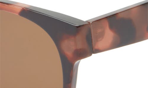 Bp. Square Sunglasses In Tortoise