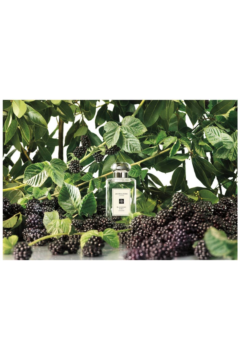 Blackberry & Bay Cologne, Alternate, color, NO COLOR