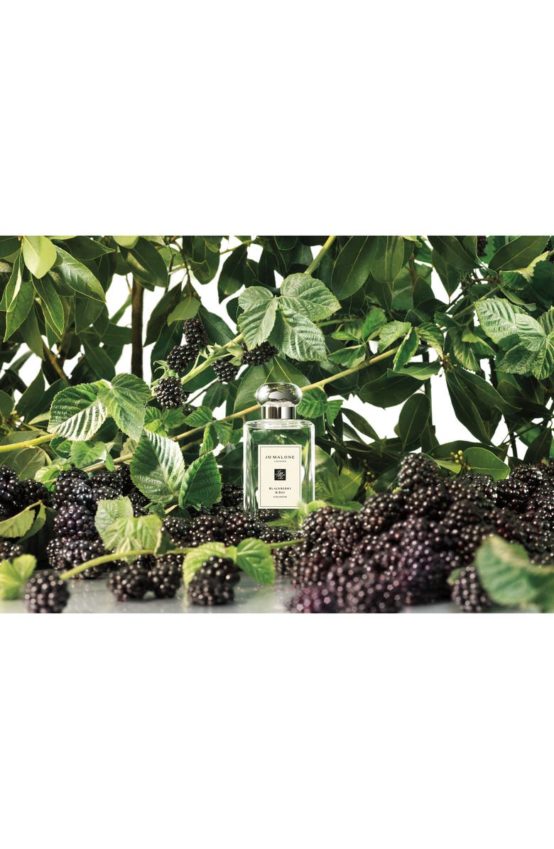 Jo Malone London<sup>™</sup> Blackberry & Bay Cologne, Alternate, color,