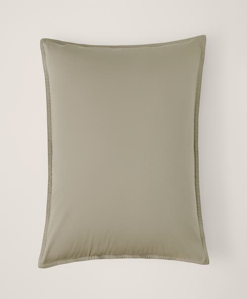 Pact Organic Room Service Sateen Sham 2-pack In Green