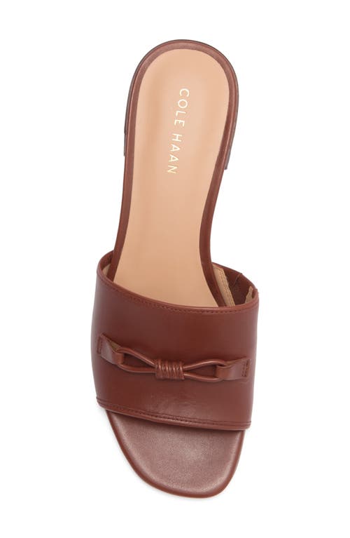 Cole Haan Cailyn Bow Slide Sandal In Brown