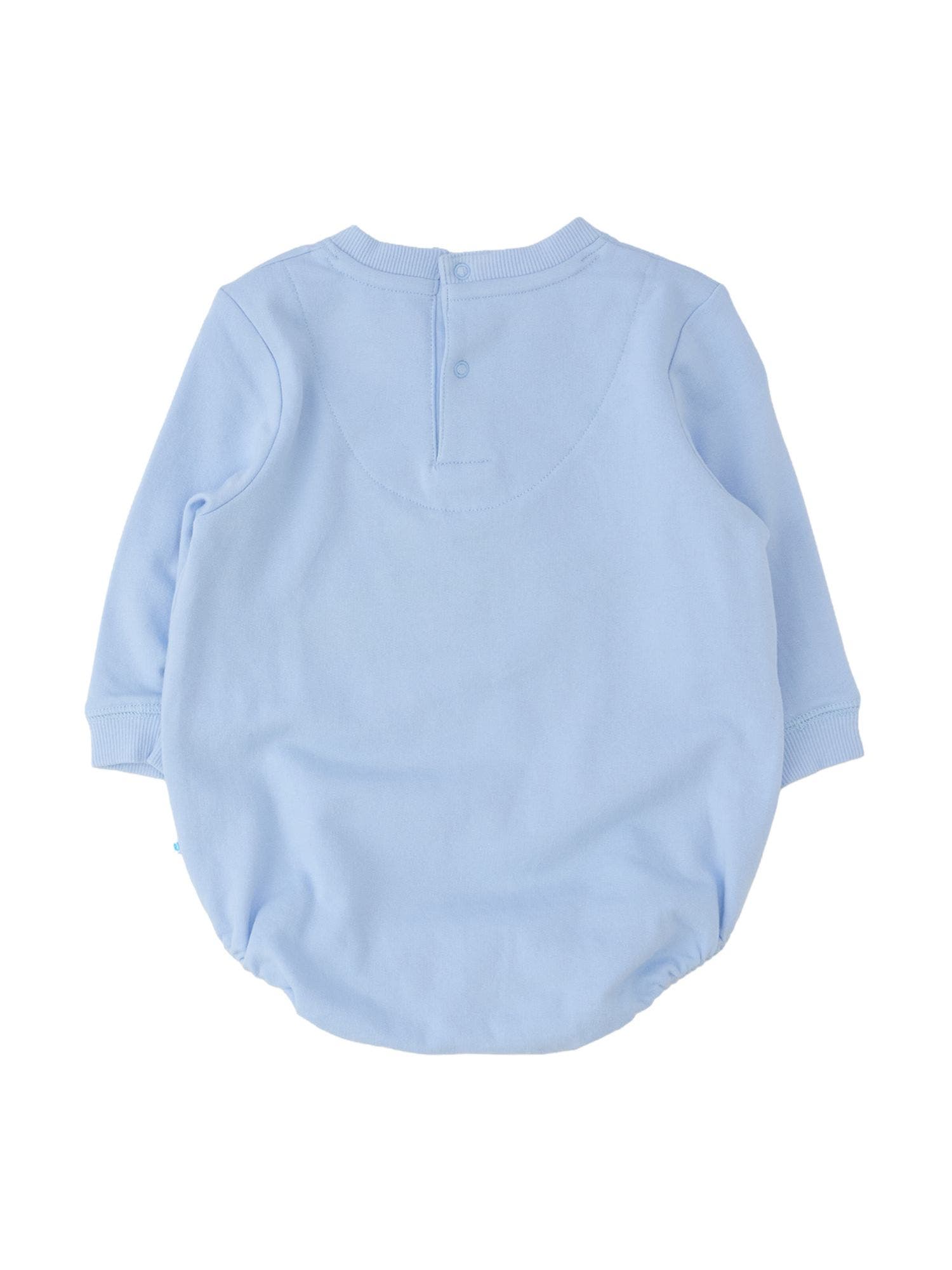 selected Mallard Windsurfer Blue