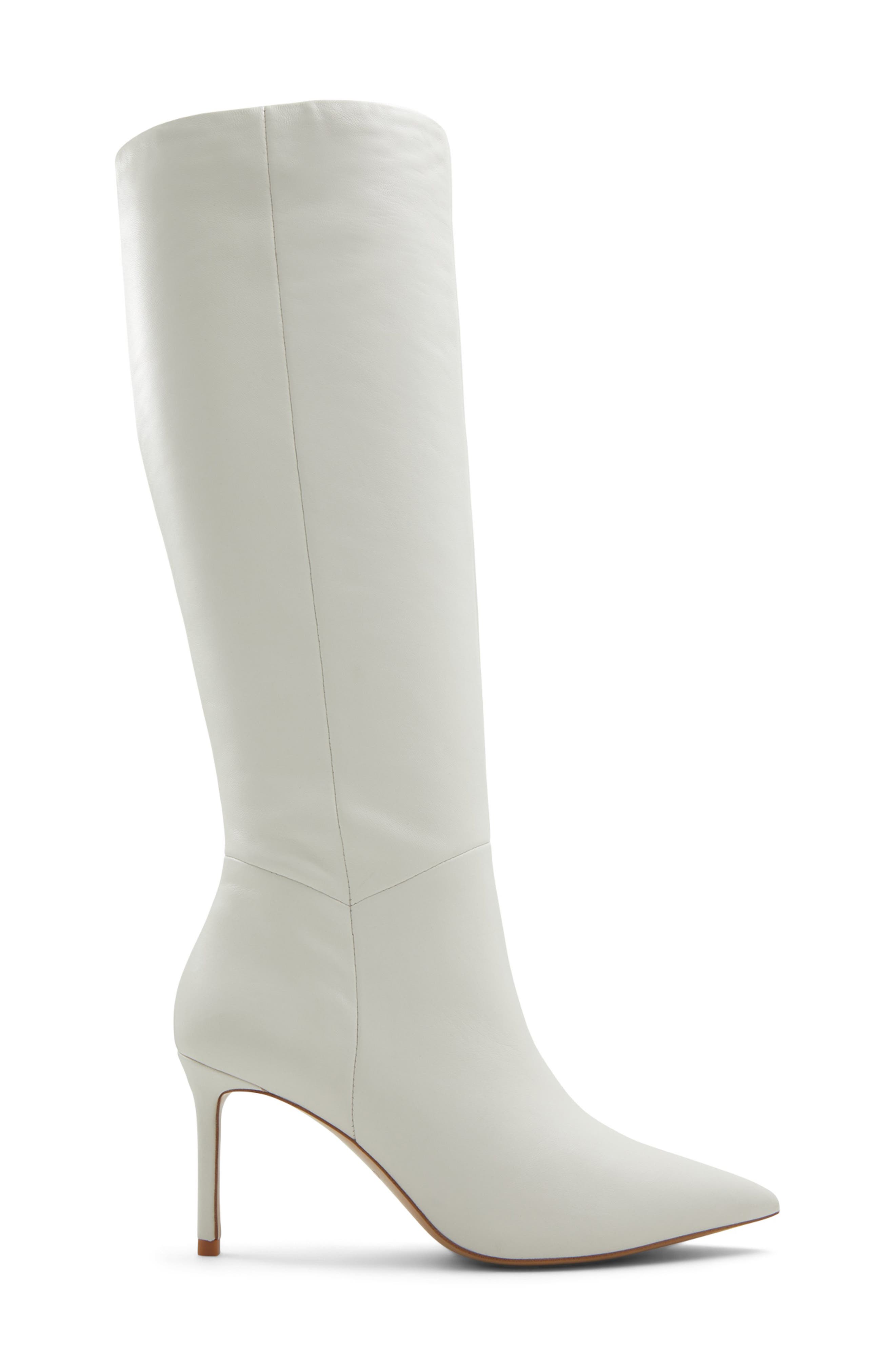 ALDO Laroche Pointed Toe Knee High Boot, Alternate, color, 