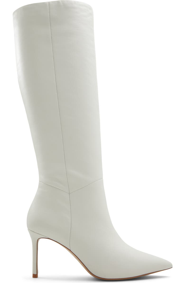 ALDO Laroche Pointed Toe Knee High Boot, Alternate, color,