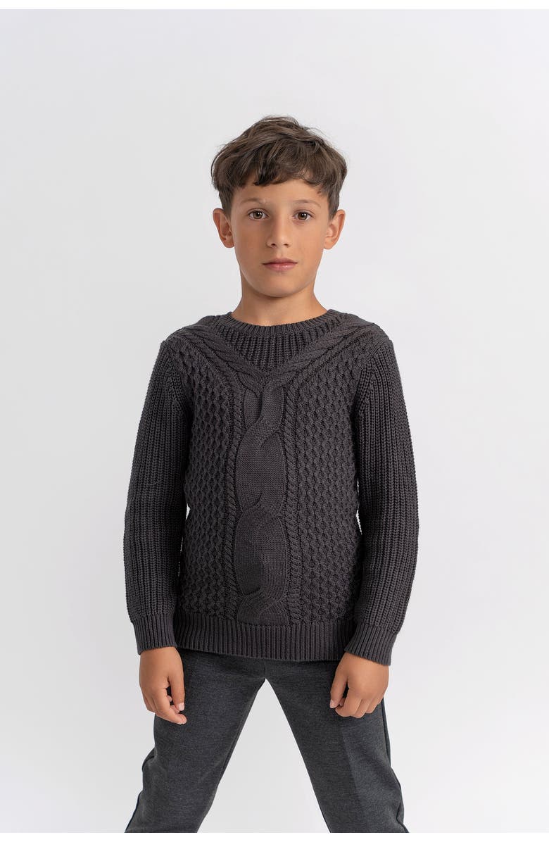 Hopscotch Cable Knit Crewneck Sweater, Alternate, color, Charcoal