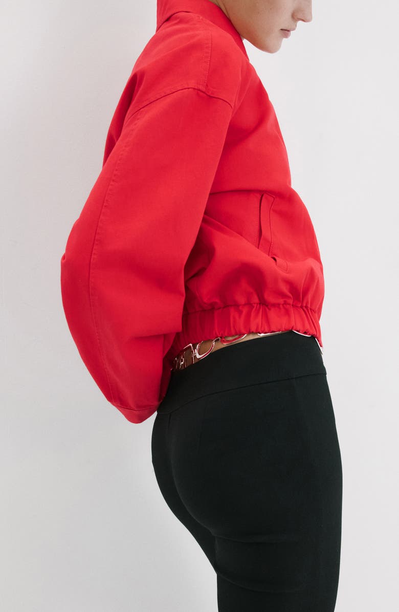 MANGO Cotton Bomber Jacket, Alternate, color,