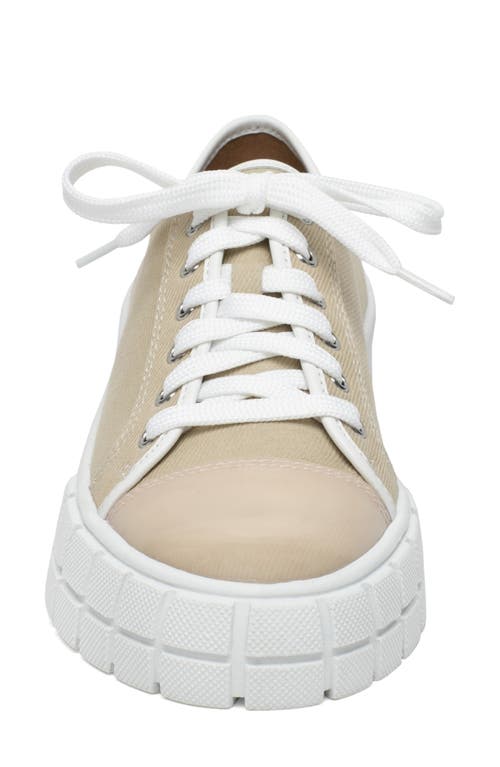 Shop Linea Paolo Kalaia Platform Sneaker In Sand/lotus