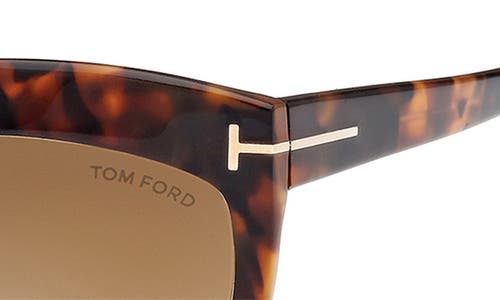 Tom Ford Doris 59mm Shield Sunglasses In Blonde Havana/brown Mirror