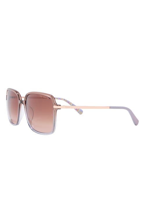 Ted Baker 57mm Gradient Square Sunglasses In Brown