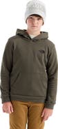 The North Face Kids' Evolution Print Box NSE Hoodie