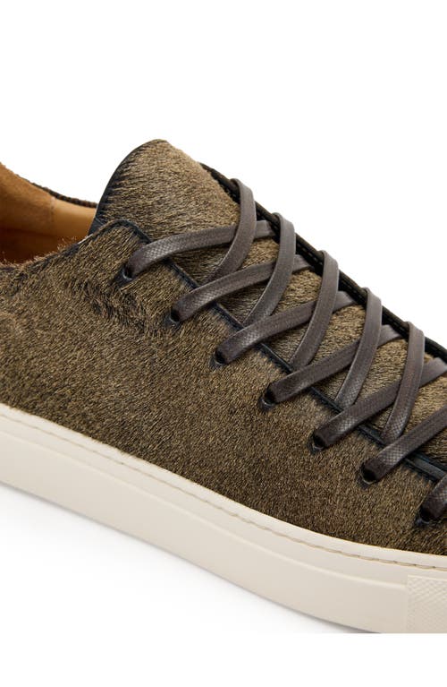 John Varvatos 315 Reed Genuine Calf Hair Low Top Sneaker In Gold