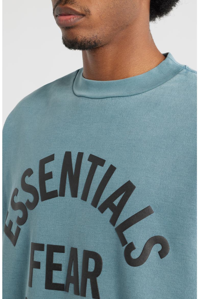 Campus '90s Fleece Logo Graphic Sweatshirt, Alternate, color, FADED COASTAL