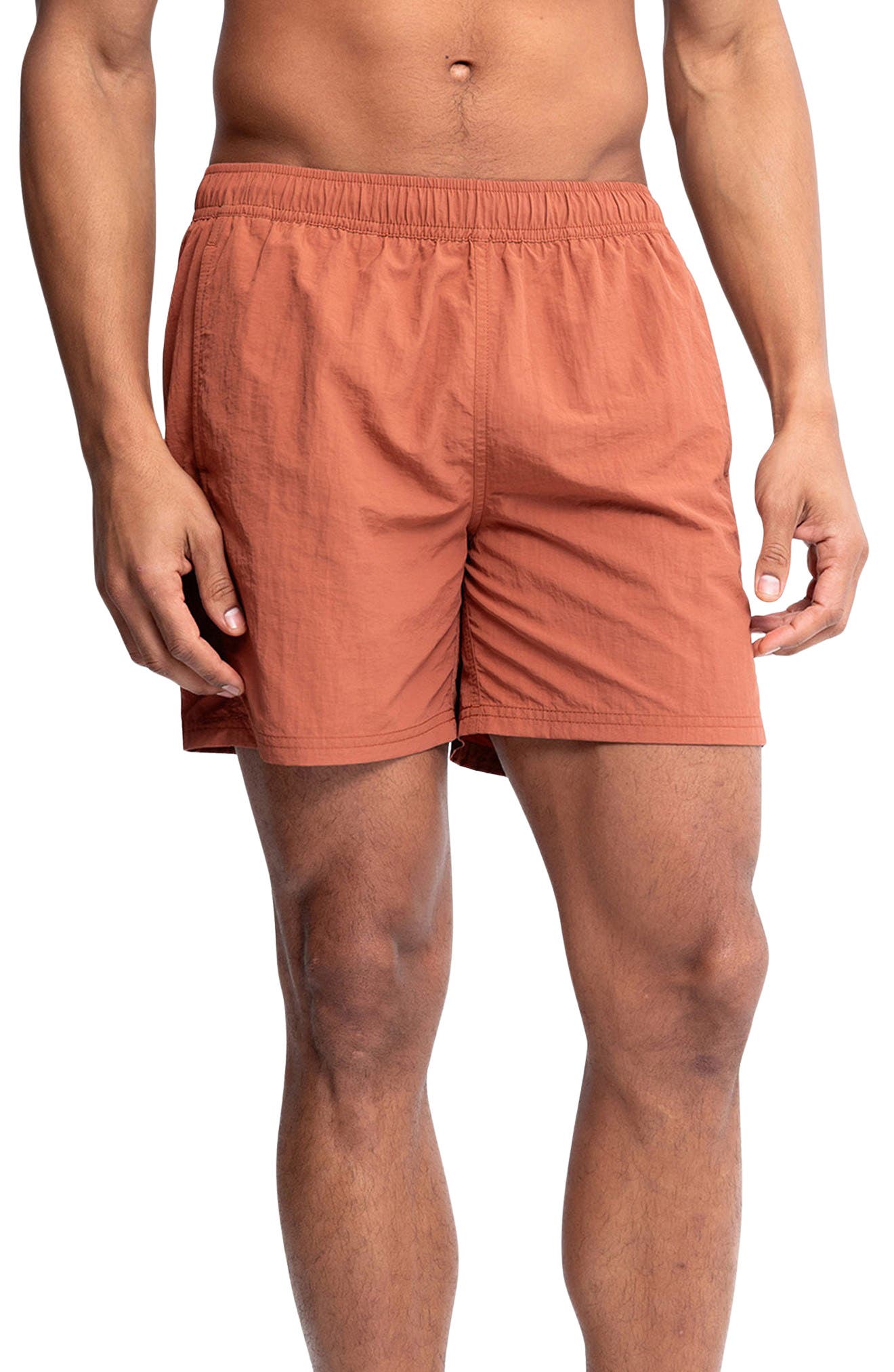 TERRASOLE/ BROWN