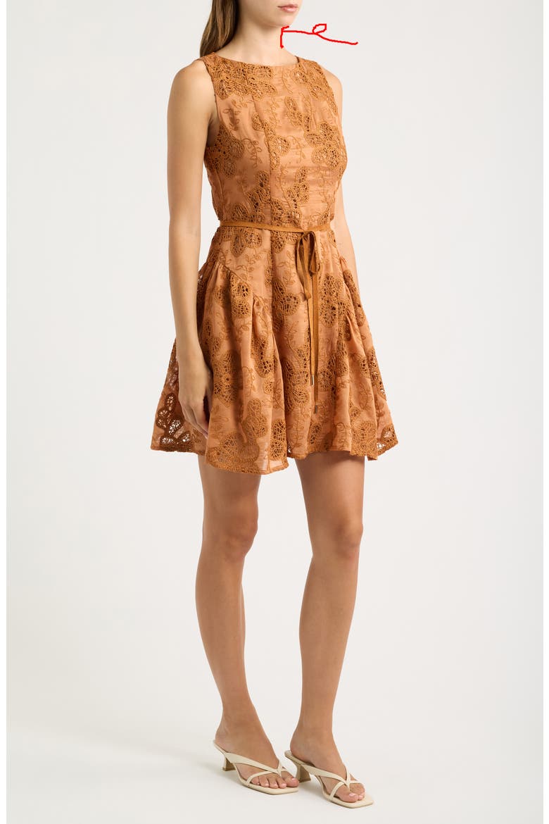 Embroidered Sleeveless Minidress, Alternate, color, RUST