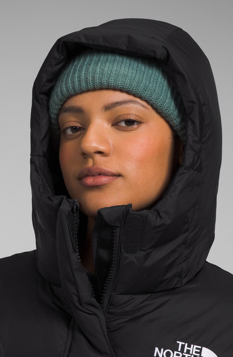 The North Face Nuptse<sup>®</sup> 1996 700 Fill Power Down Parka, Alternate, color, 