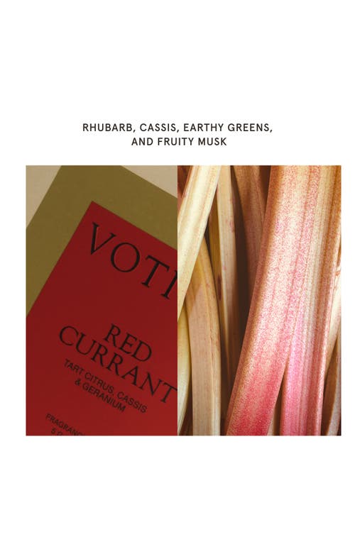 Pura X Votivo Red Currant Car Dual Refill Pack In Red Currant