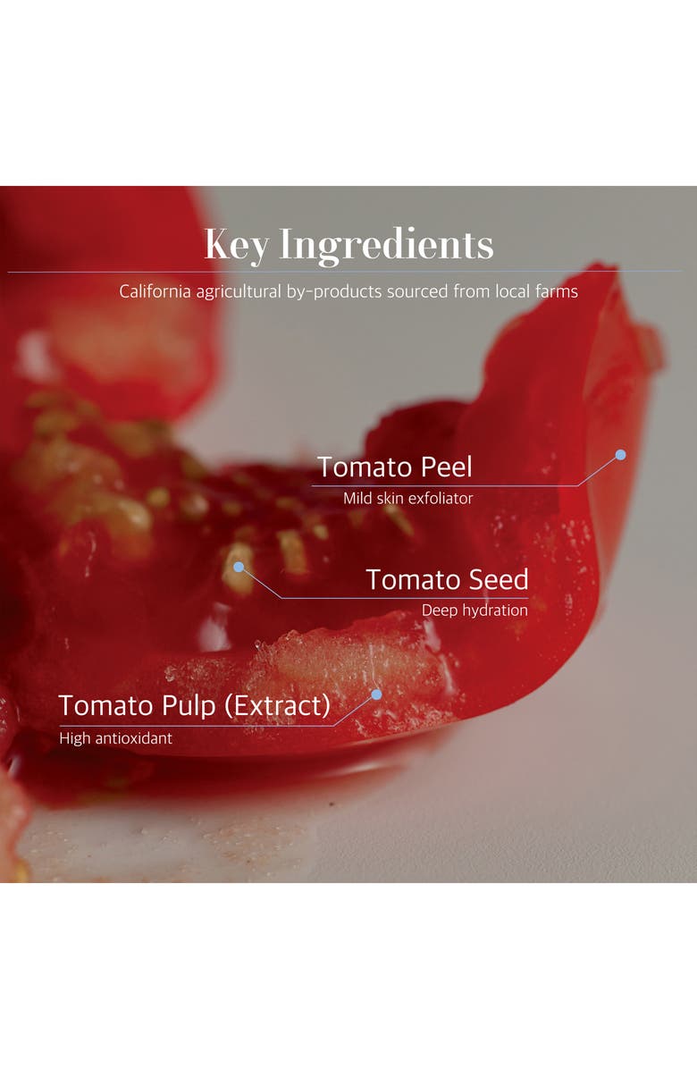 Fountain of Waters Tomato Garden Body Care 2-Piece Gift Set, Alternate, color, Yellow