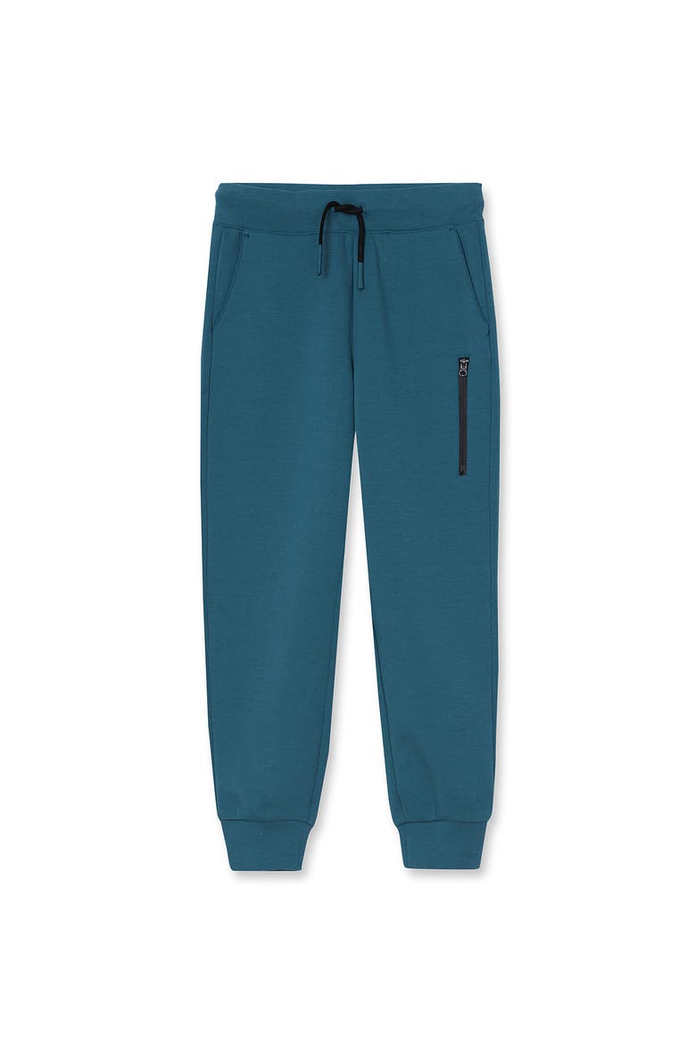 Boys Active Iron Knee Tech Pants, Main, color, Tourmaline