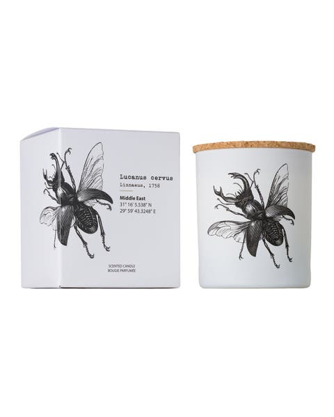 Vila Insect Candle In Jar 6.7 Ounce