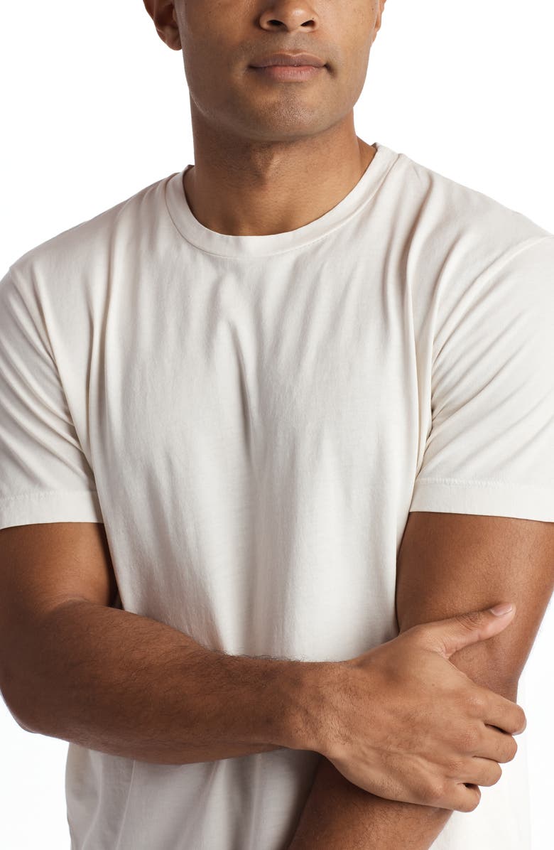 Rowan Asher Standard Cotton T-Shirt, Alternate, color, Vintage White