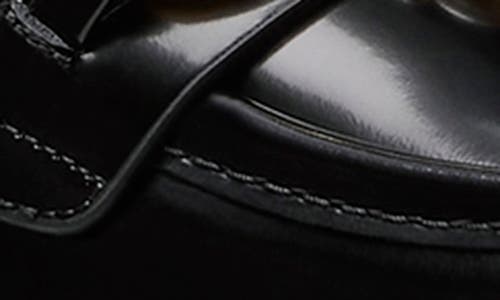 Stuart Weitzman Socharming Loafer In Black