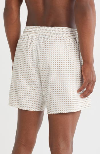 Swim Trunks