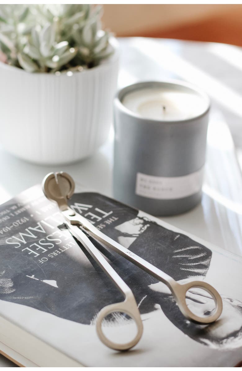 Aerangis Stainless Steel Candle Wick Trimmer, Alternate, color, Silver