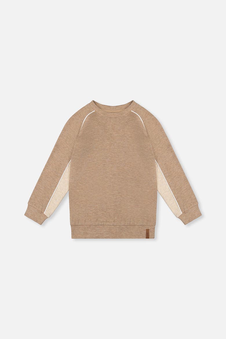 Brushed Jersey Raglan Sleeve Crew Neck Top, Main, color, Taupe