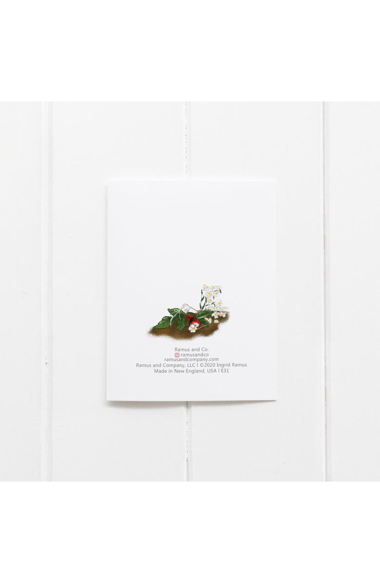 Ramus & Co Everyday Greeting Card Pack (3ct) "Harvest Girl", Alternate, color, Multi-Pack