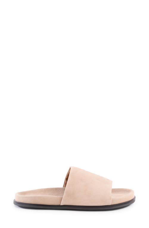 Seychelles Farrah Slide Sandal In Beige
