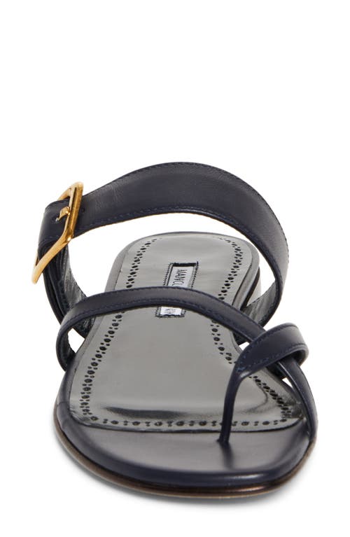 Manolo Blahnik Thalusa Flat Sandal In Navy