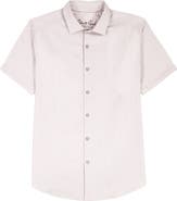 Robert Graham Fornillo Classic Fit Stripe Short Sleeve Button-Up Shirt