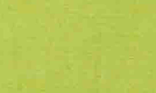 Kasper Linen Blend Ankle Pants In Kiwi