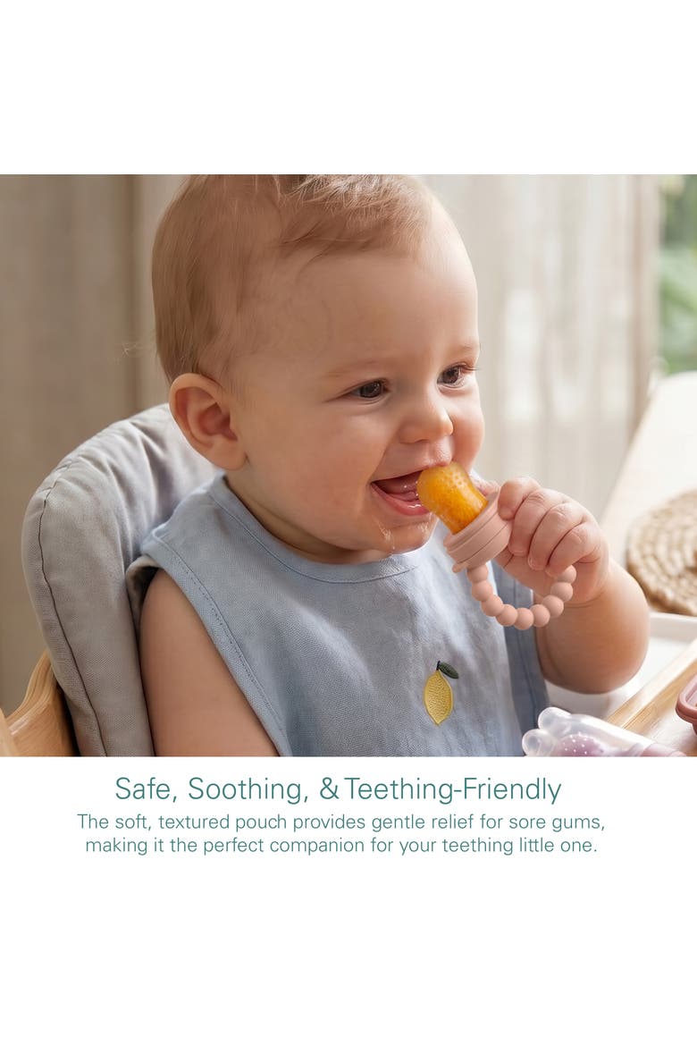 Safe Convenient Silicone Baby Fruit Feeders Dishwasher Safe Freezer Tray Set, Alternate, color, Pink
