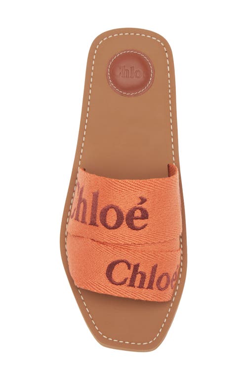 Chloé Slide Sandal In Multi